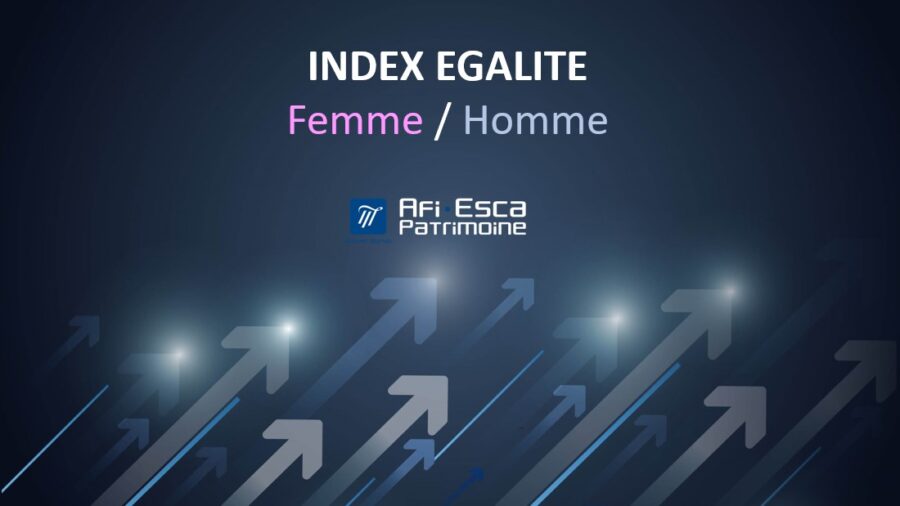 Index égalité femmes/hommes 2022